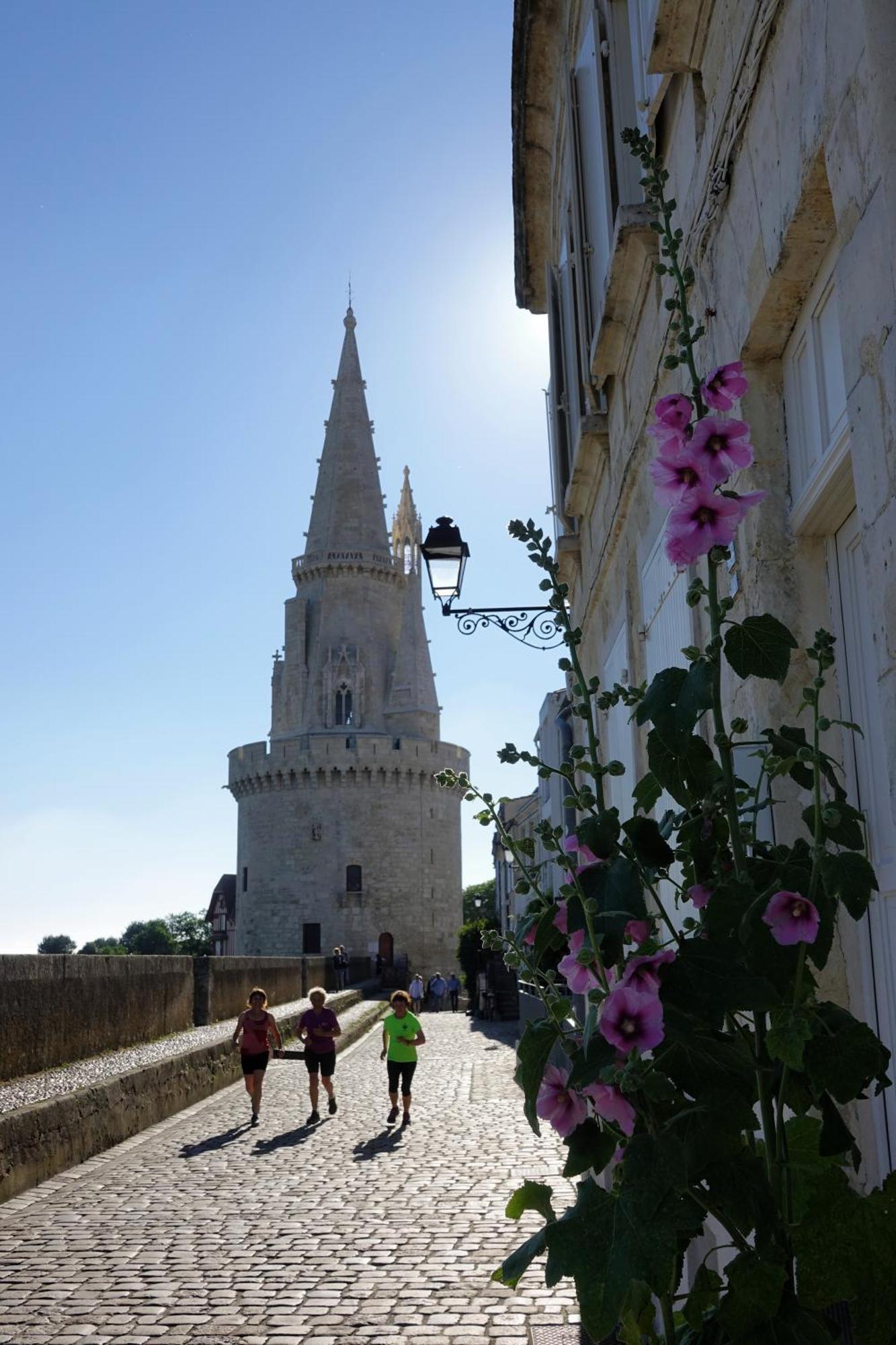 Les Pertuis Rochelais Bed & Breakfast Perigny  Exterior photo