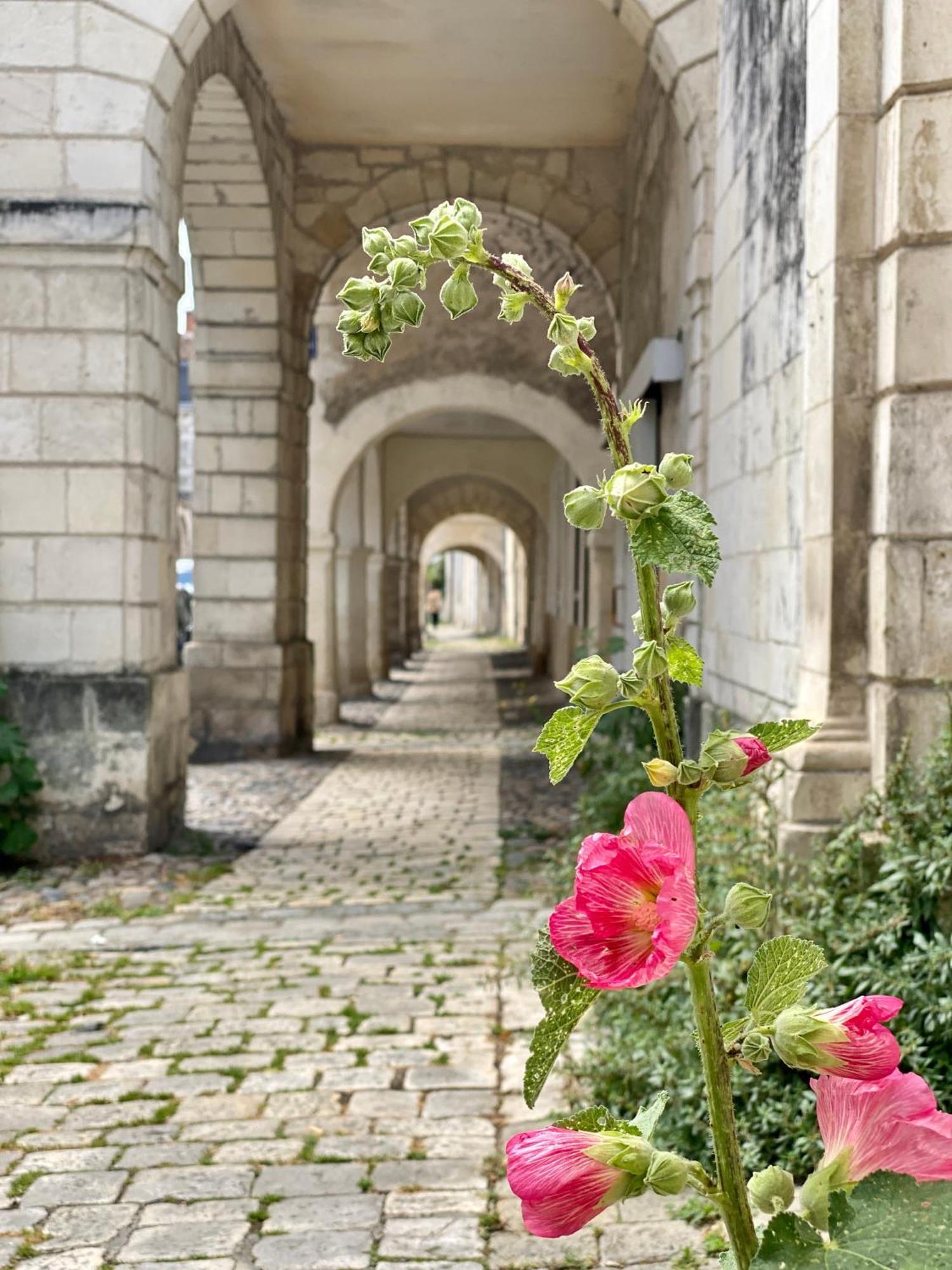 Les Pertuis Rochelais Bed & Breakfast Perigny  Exterior photo